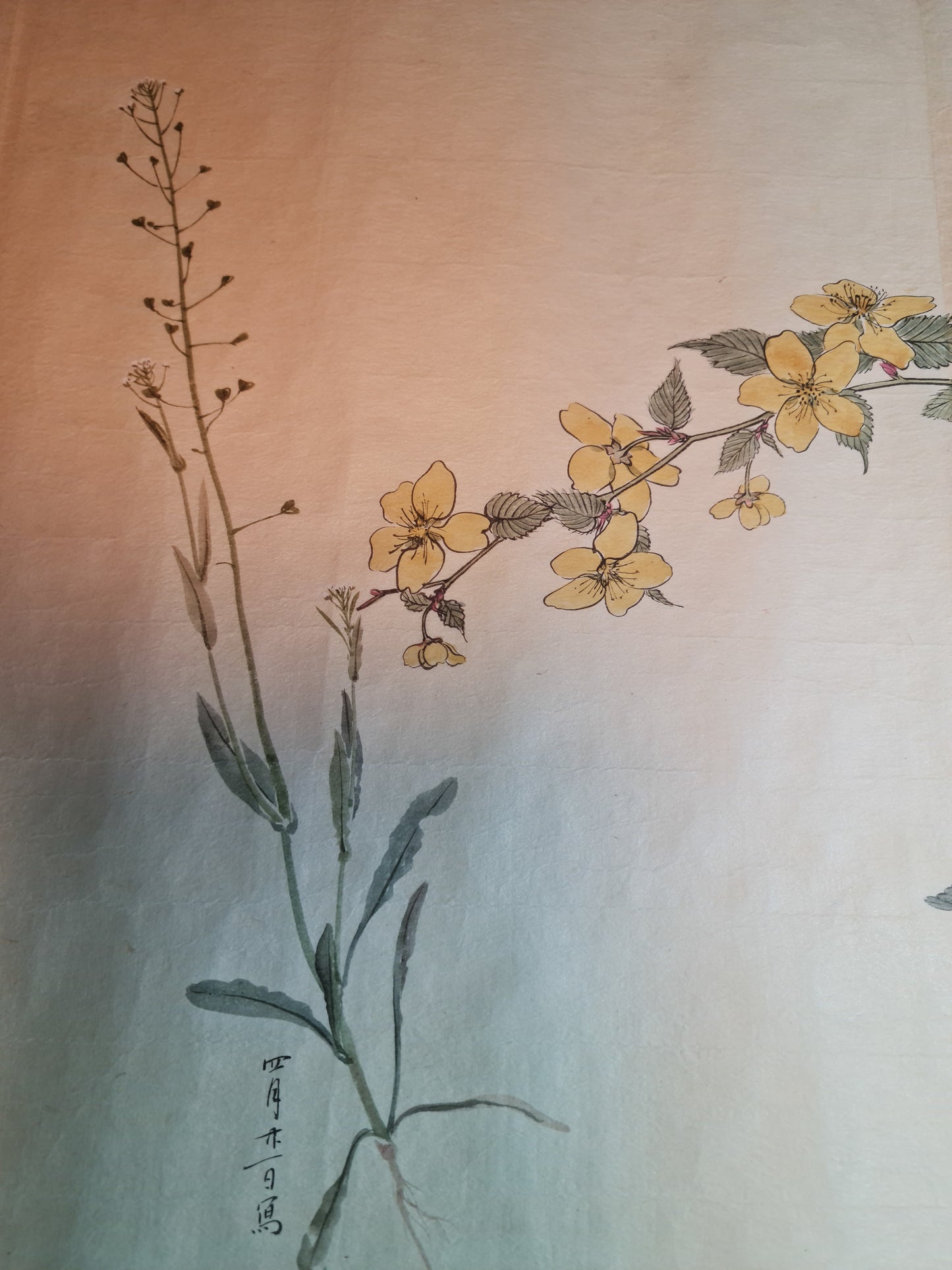Emakimono 絵巻物 scroll, Matsutarō Sugino (杉野松太郎), born in 1878, scroll, 40! x 1250 cm