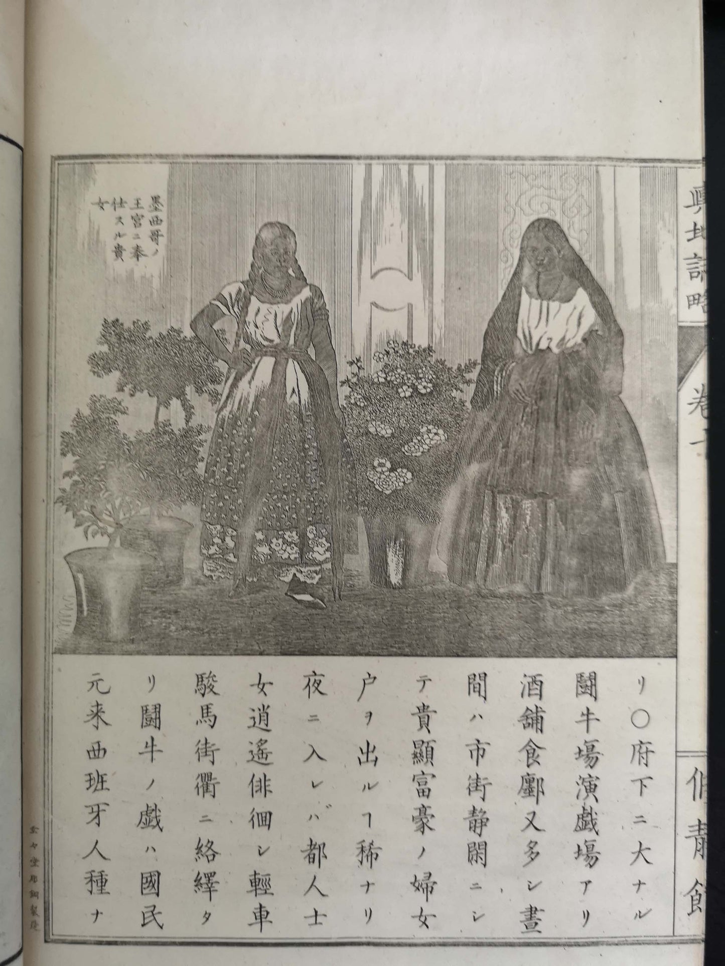"Yochi shiryaku" 輿地誌略 (Compendium of World Geography) - 12 volumes - Uchida Masao 内田 正雄 (1838-1876)