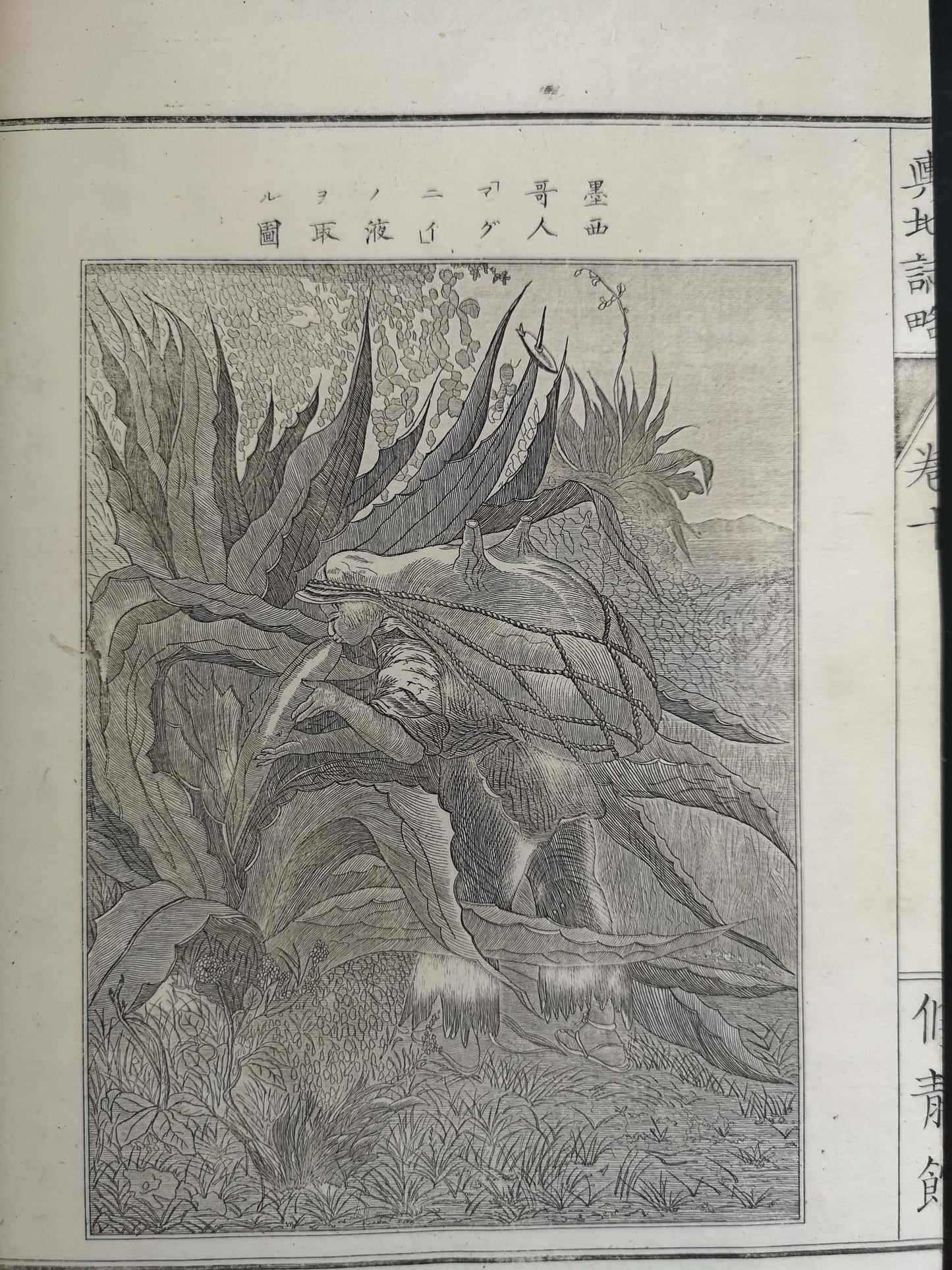 "Yochi shiryaku" 輿地誌略 (Compendium of World Geography) - 12 volumes - Uchida Masao 内田 正雄 (1838-1876)