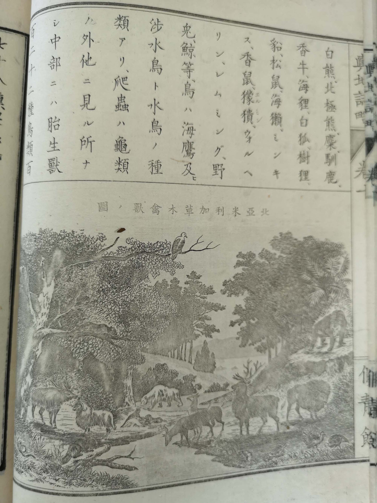"Yochi shiryaku" 輿地誌略 (Compendium of World Geography) - 12 volumes - Uchida Masao 内田 正雄 (1838-1876)