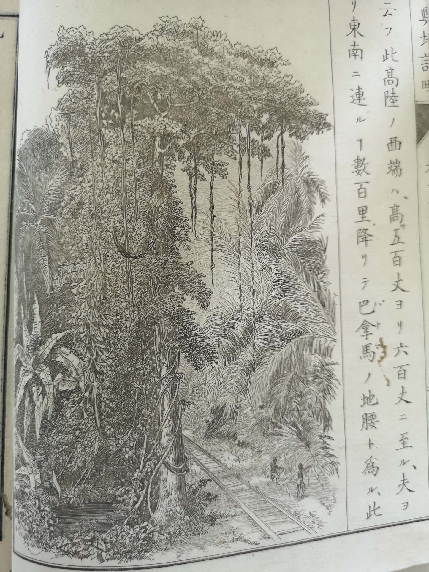 "Yochi shiryaku" 輿地誌略 (Compendium of World Geography) - 12 volumes - Uchida Masao 内田 正雄 (1838-1876)