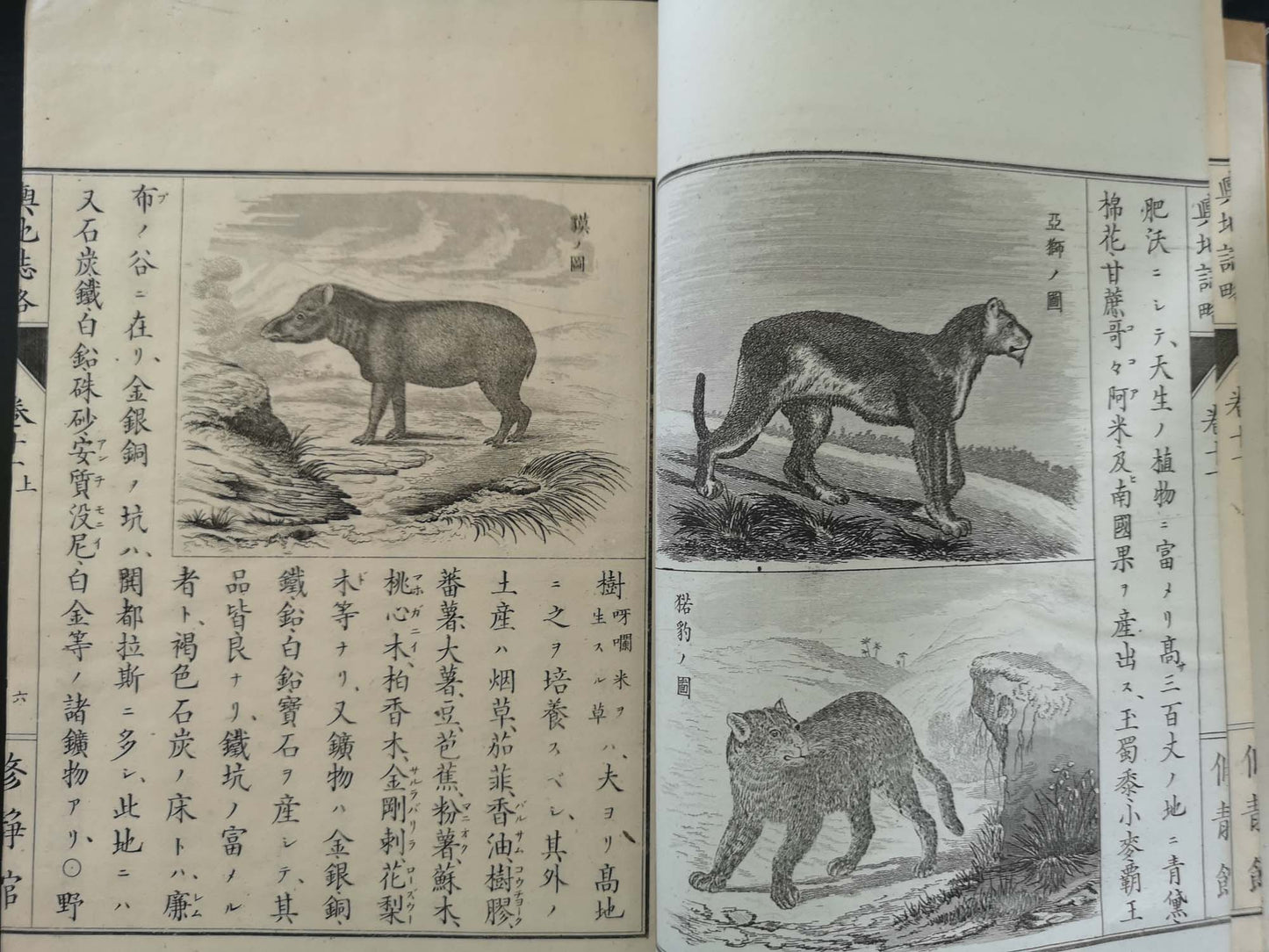 "Yochi shiryaku" 輿地誌略 (Compendium of World Geography) - 12 volumes - Uchida Masao 内田 正雄 (1838-1876)