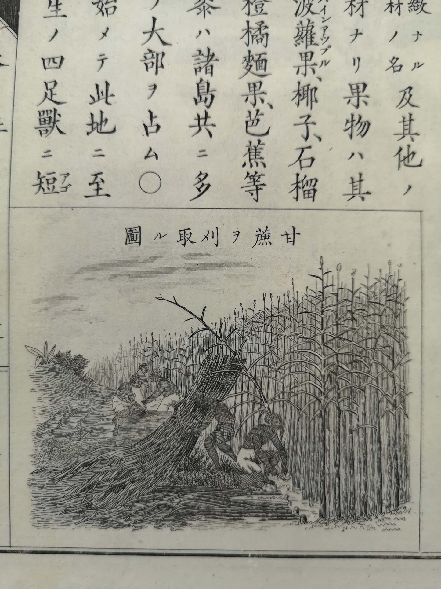 "Yochi shiryaku" 輿地誌略 (Compendium of World Geography) - 12 volumes - Uchida Masao 内田 正雄 (1838-1876)