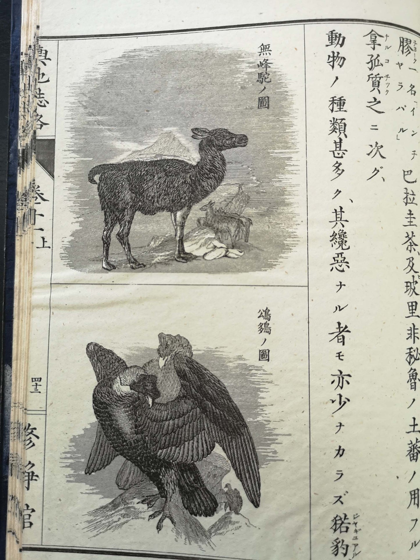 "Yochi shiryaku" 輿地誌略 (Compendium of World Geography) - 12 volumes - Uchida Masao 内田 正雄 (1838-1876)