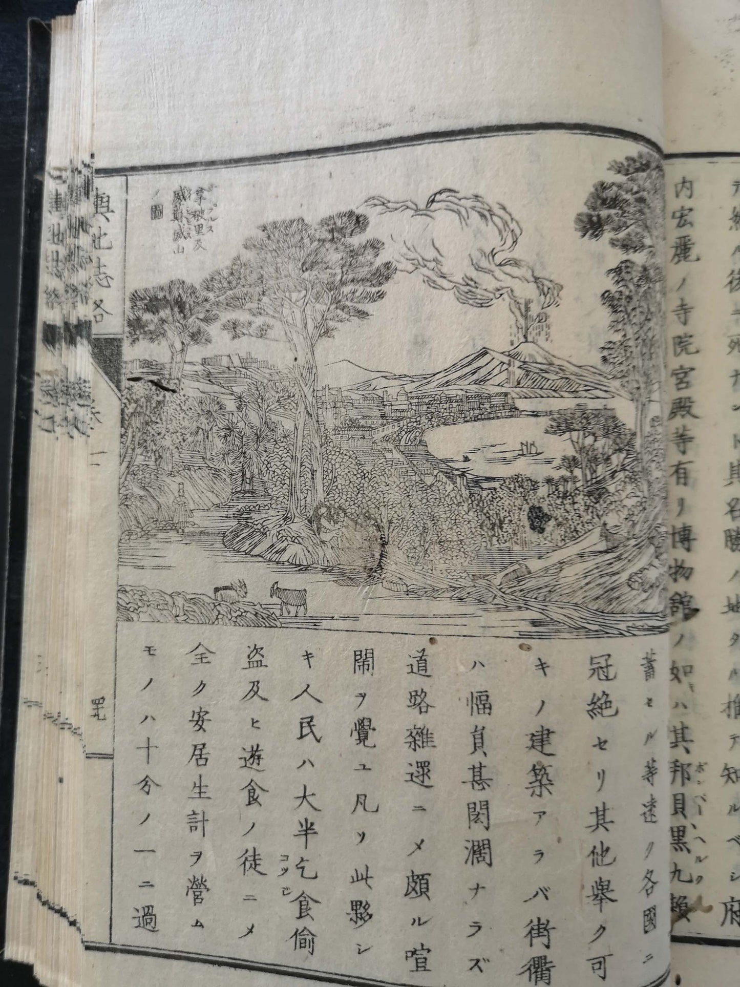 "Yochi shiryaku" 輿地誌略 (Compendium of World Geography) - 12 volumes - Uchida Masao 内田 正雄 (1838-1876)