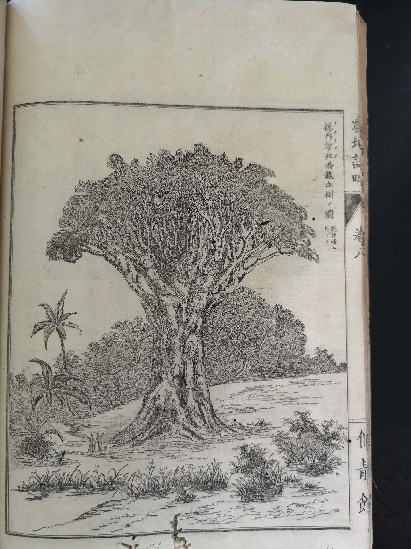 "Yochi shiryaku" 輿地誌略 (Compendium of World Geography) - 12 volumes - Uchida Masao 内田 正雄 (1838-1876)