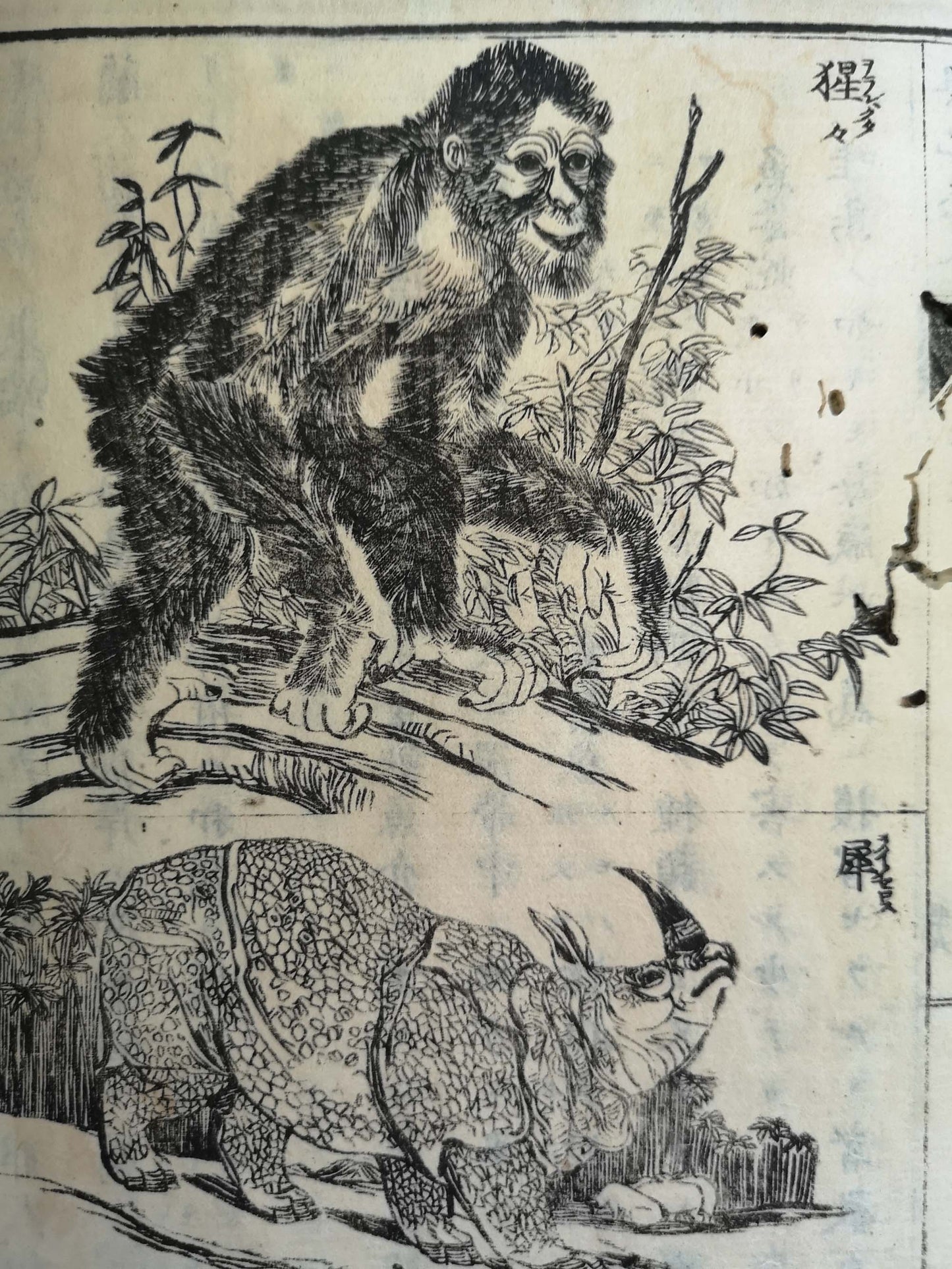 "Yochi shiryaku" 輿地誌略 (Compendium of World Geography) - 12 volumes - Uchida Masao 内田 正雄 (1838-1876)