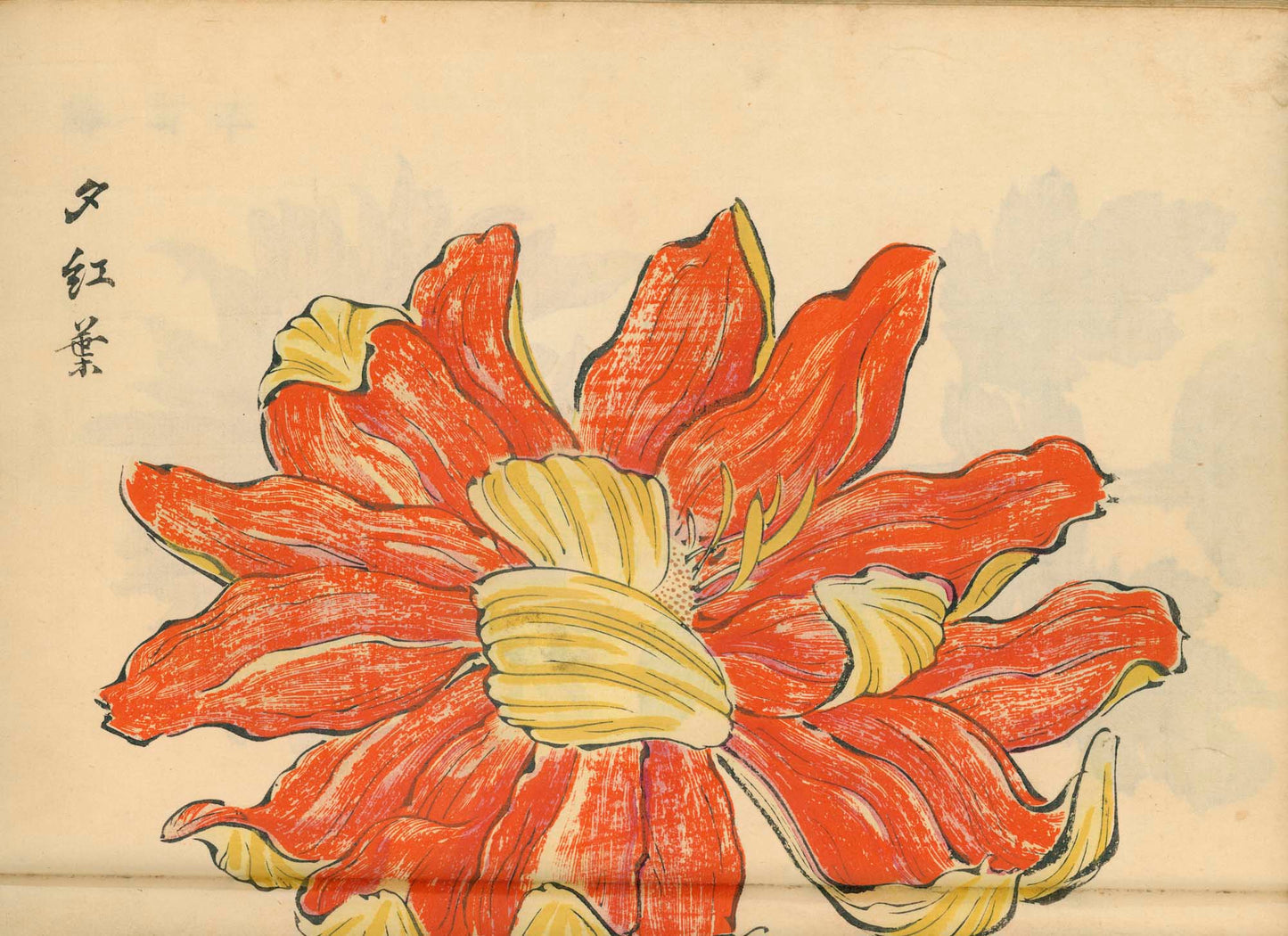 契花百菊 (Keika Hyakkiku) Volumes 1 & 2, 長谷川契華 (Keika Hasegawa) 1893 / 明治26
