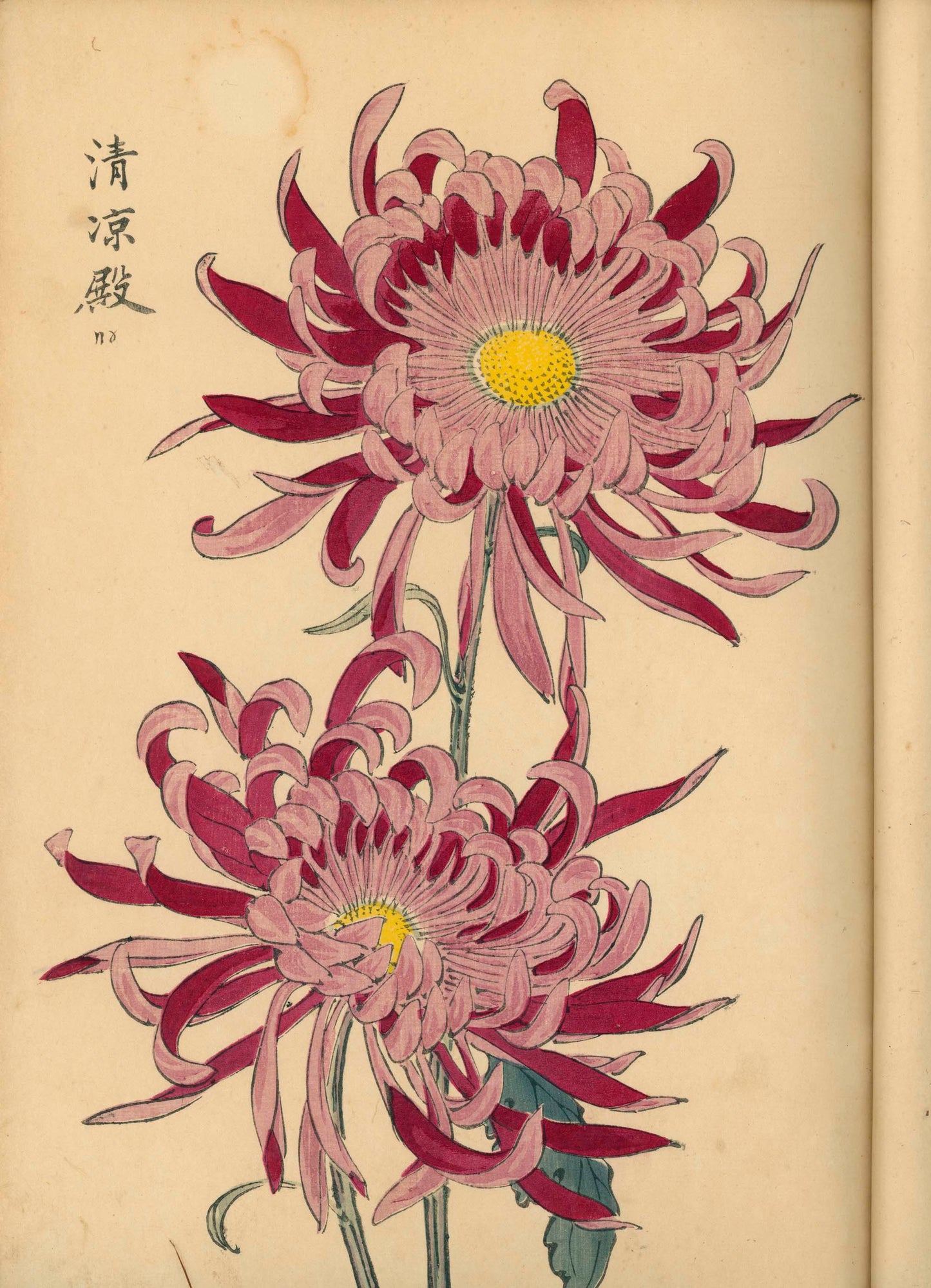 契花百菊 (Keika Hyakkiku) Volumes 1 & 2, 長谷川契華 (Keika Hasegawa) 1893 / 明治26