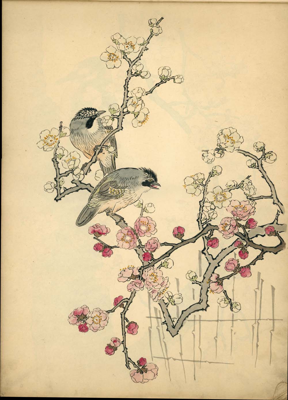 浮世絵、梅領花鳥畫譜、幸野梅領画 版画