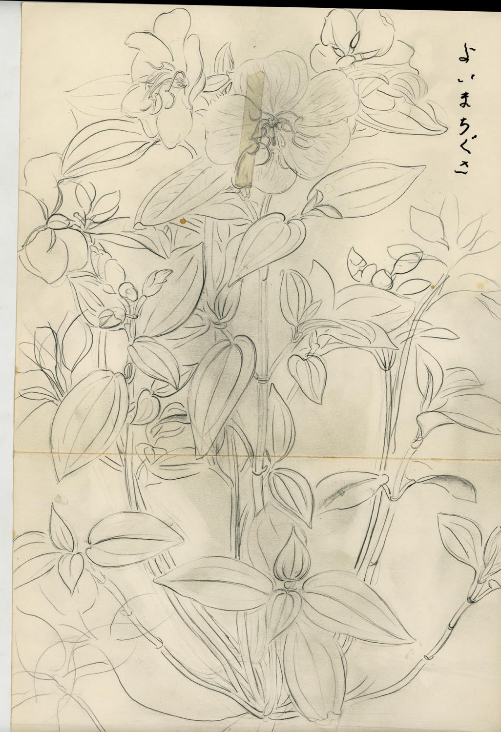 A painter's archive