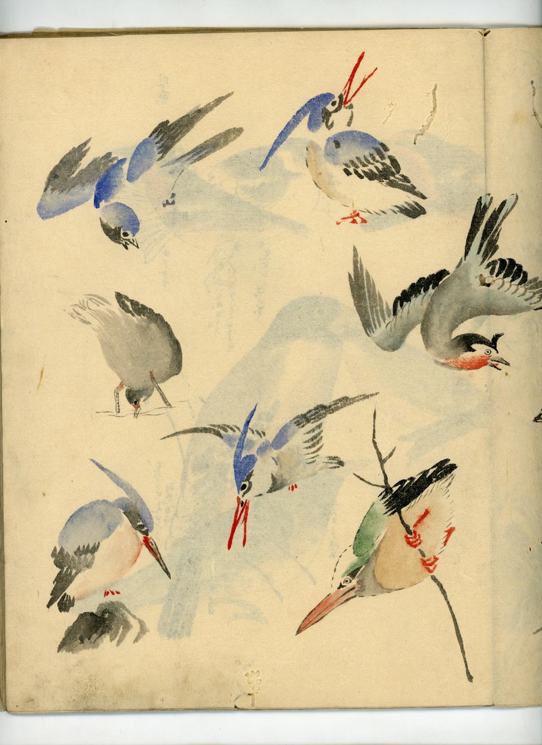 鳥類圖譜 handpainted art album of birds (kacho-ga) 21 full-page illustrations, superb brushwork