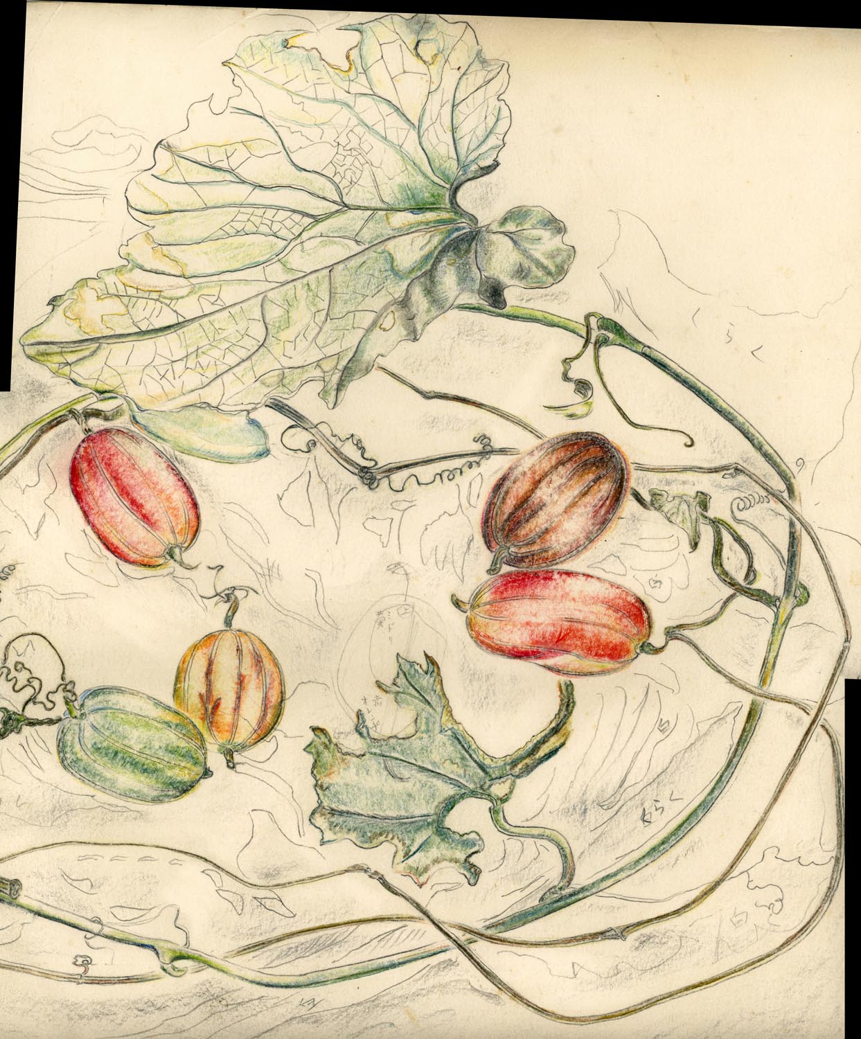 A painter's archive