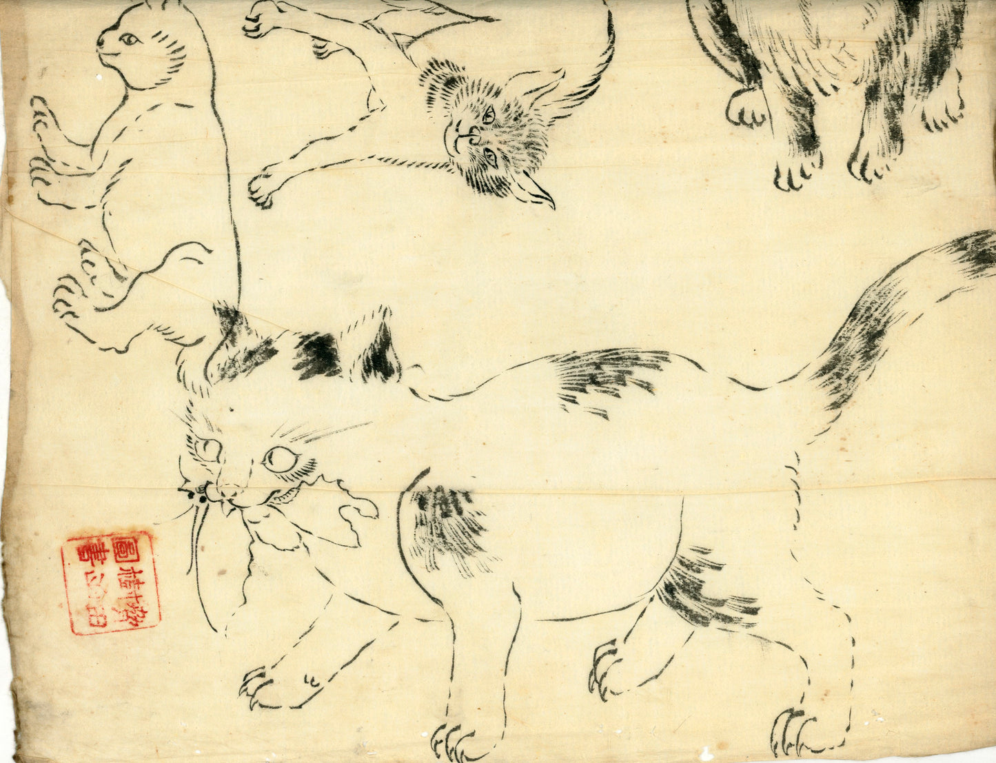 2 emakimono scrolls 花鳥畫 / 4 kakejiku scrolls Goto Shugai 1886-? 後藤秋崖