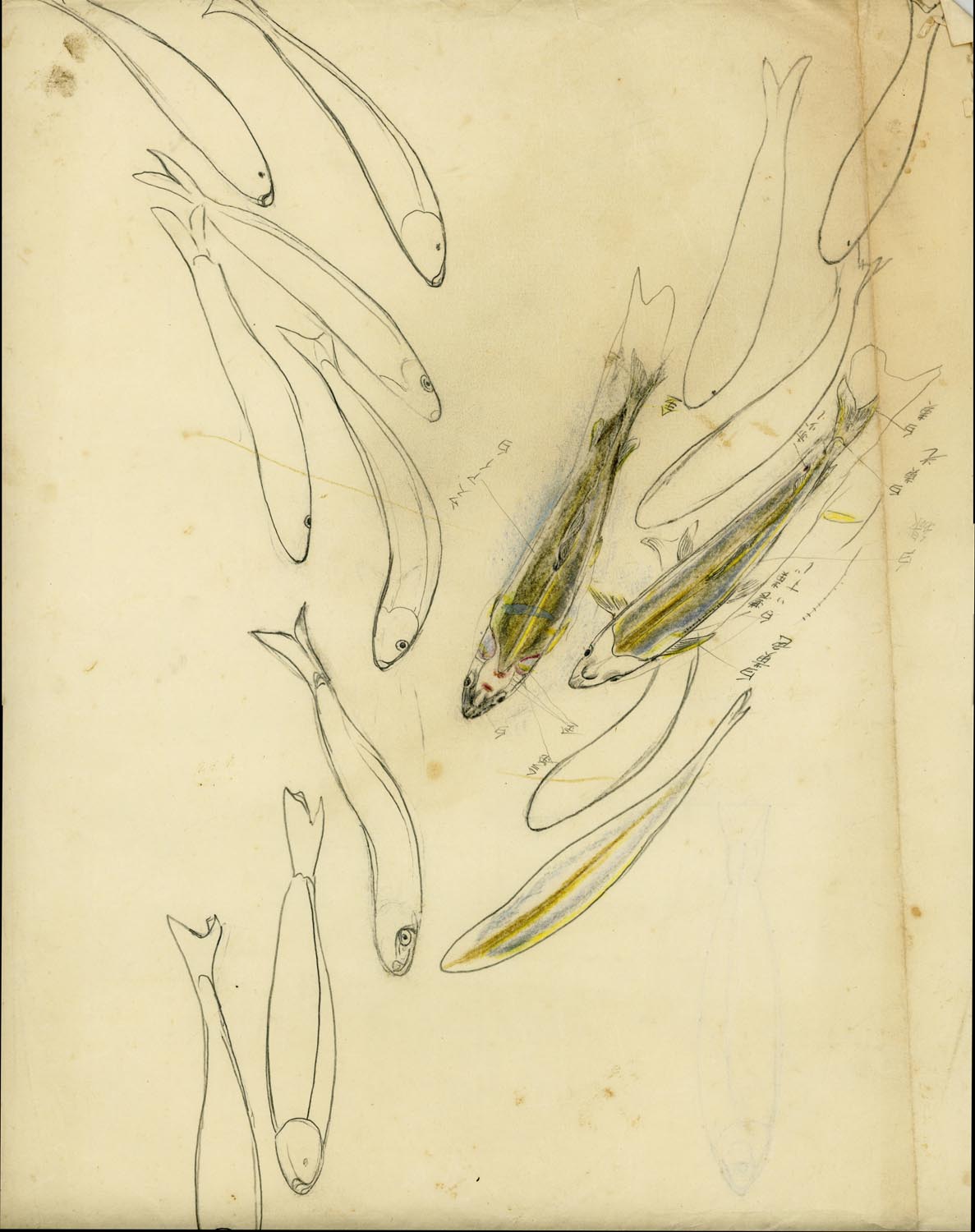 A painter's archive