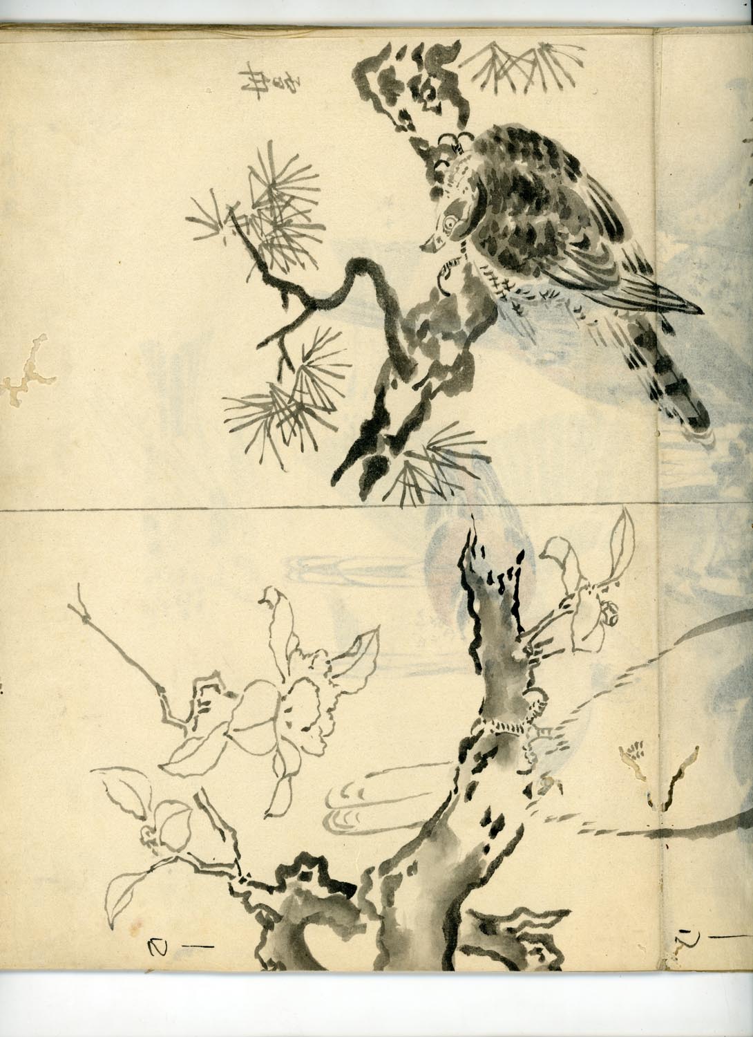 鳥類圖譜 handpainted art album of birds (kacho-ga) 21 full-page illustrations, superb brushwork