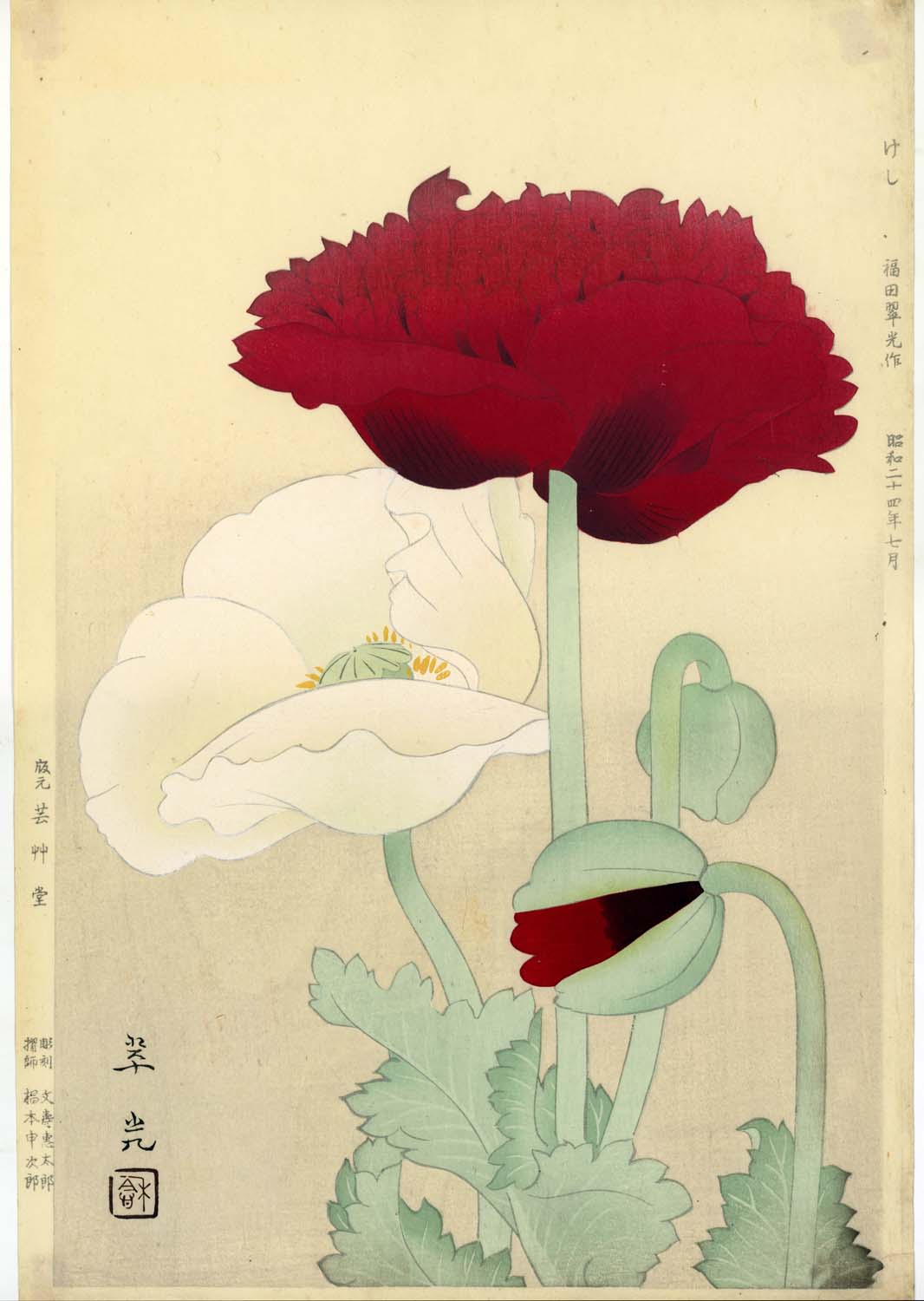 Poppy flower けし Keshi - 1949 / Fukuda Suiko 福田翠光 (1895-1973)