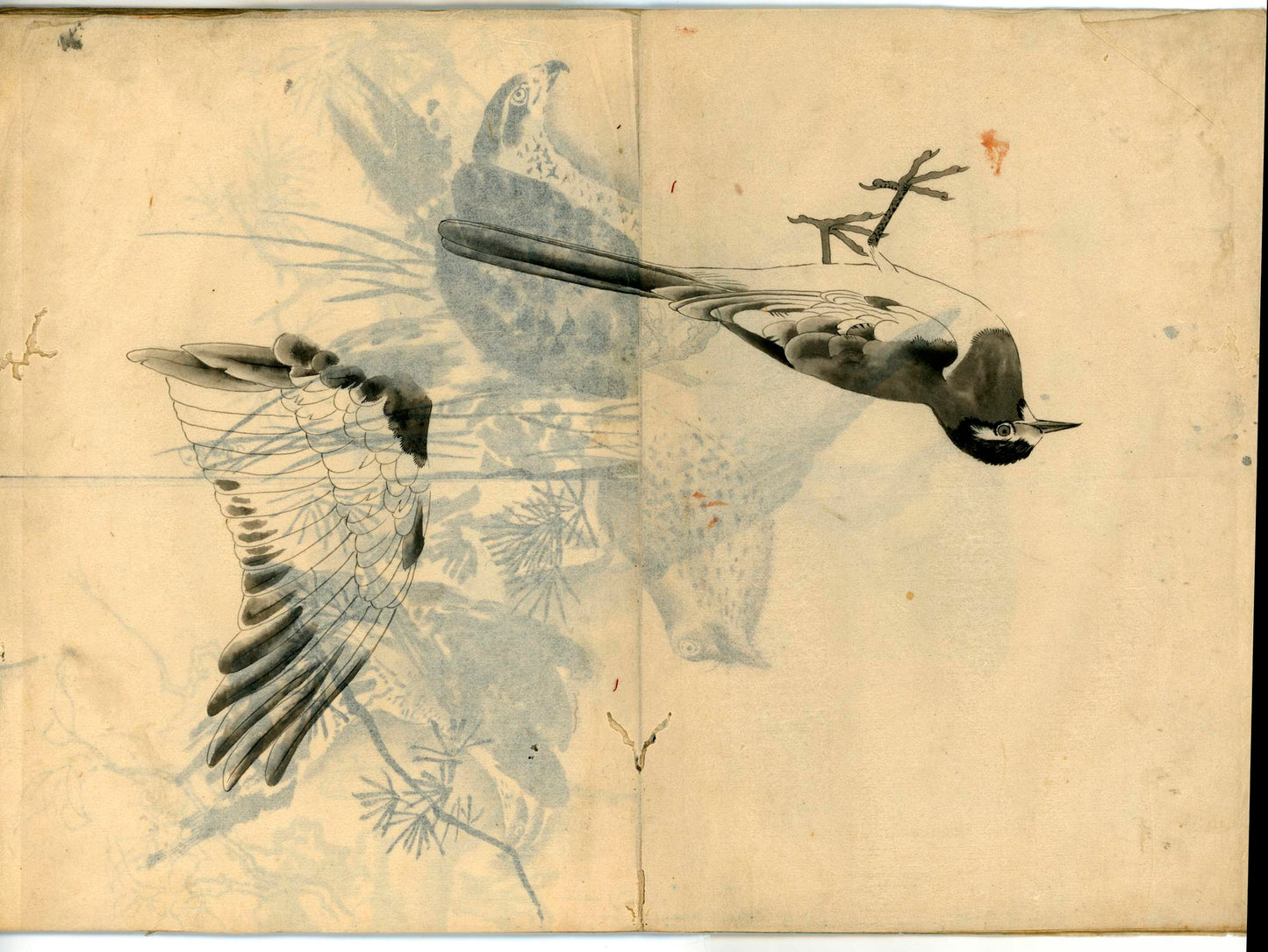 鳥類圖譜 handpainted art album of birds (kacho-ga) 21 full-page illustrations, superb brushwork