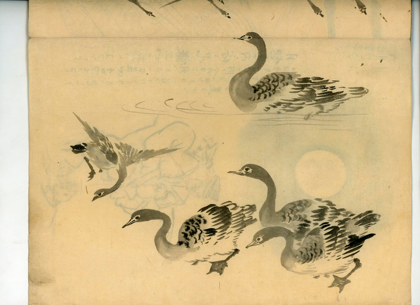 鳥類圖譜 handpainted art album of birds (kacho-ga) 21 full-page illustrations, superb brushwork