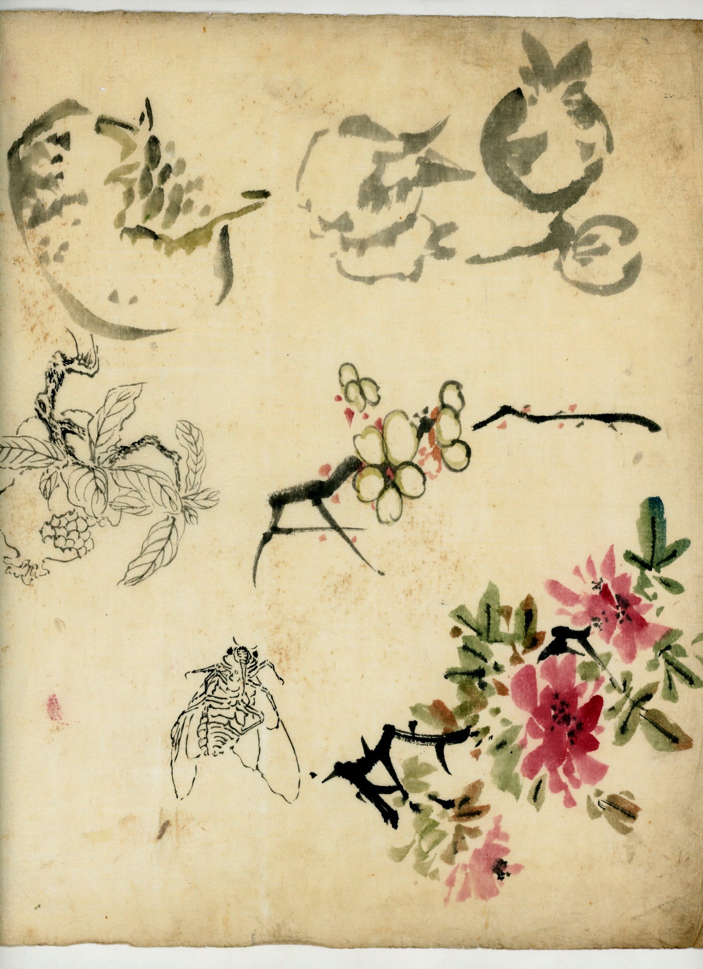 70 handpainted scenes, 28x40 cm, ca. Tenpo era (1840)