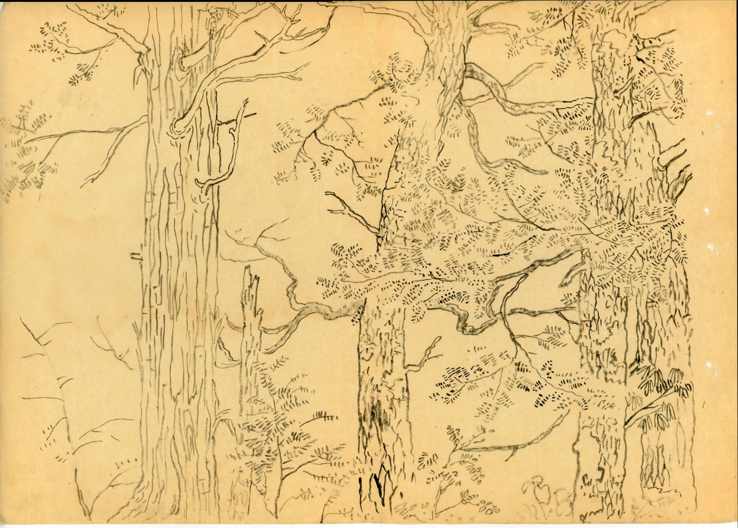 A painter's archive