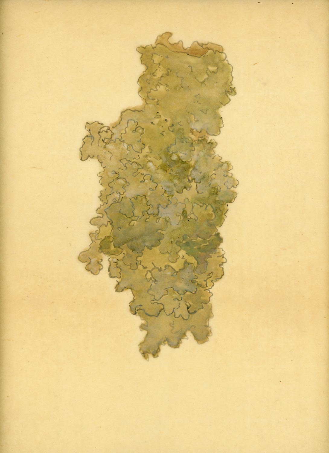 A painter's archive