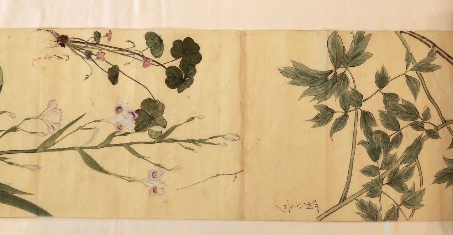 Emakimono - botanical paintings, dated Meiji 35 (1902)