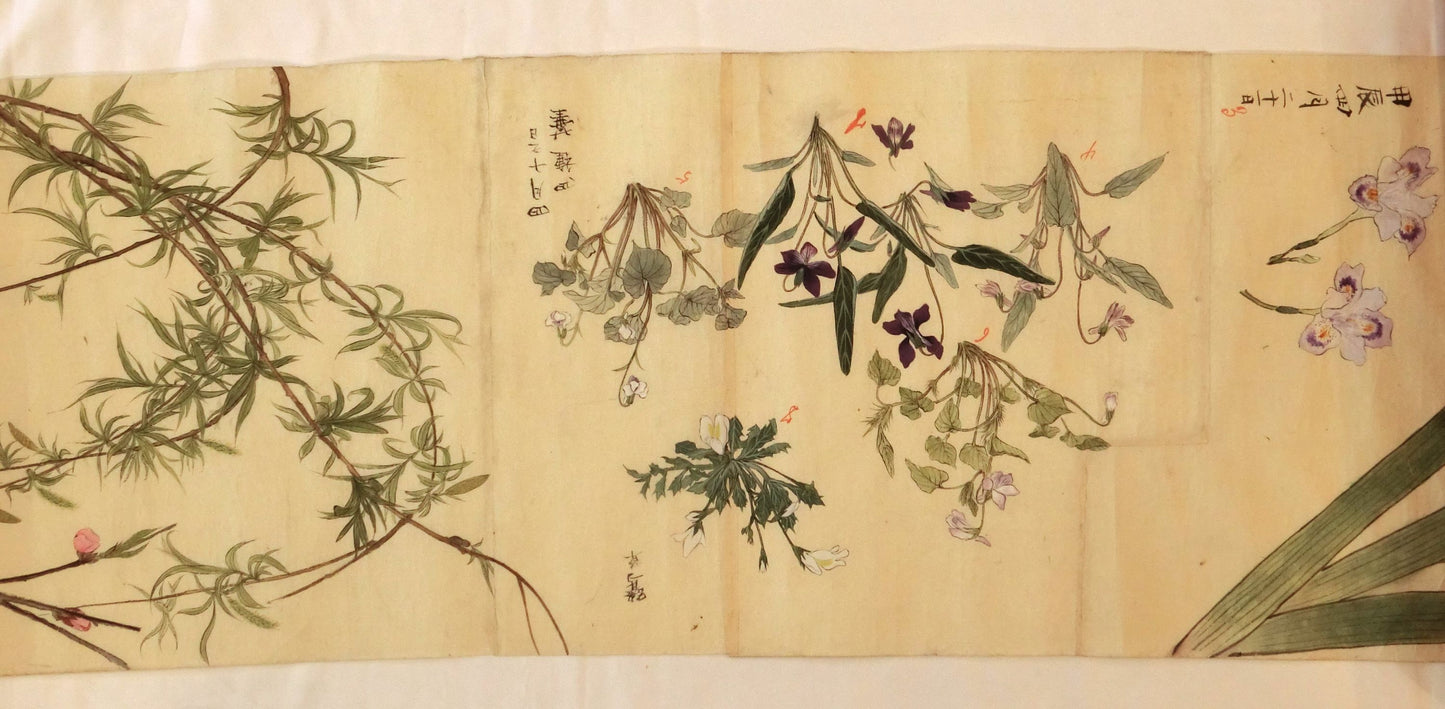 Emakimono - botanical paintings, dated Meiji 35 (1902)