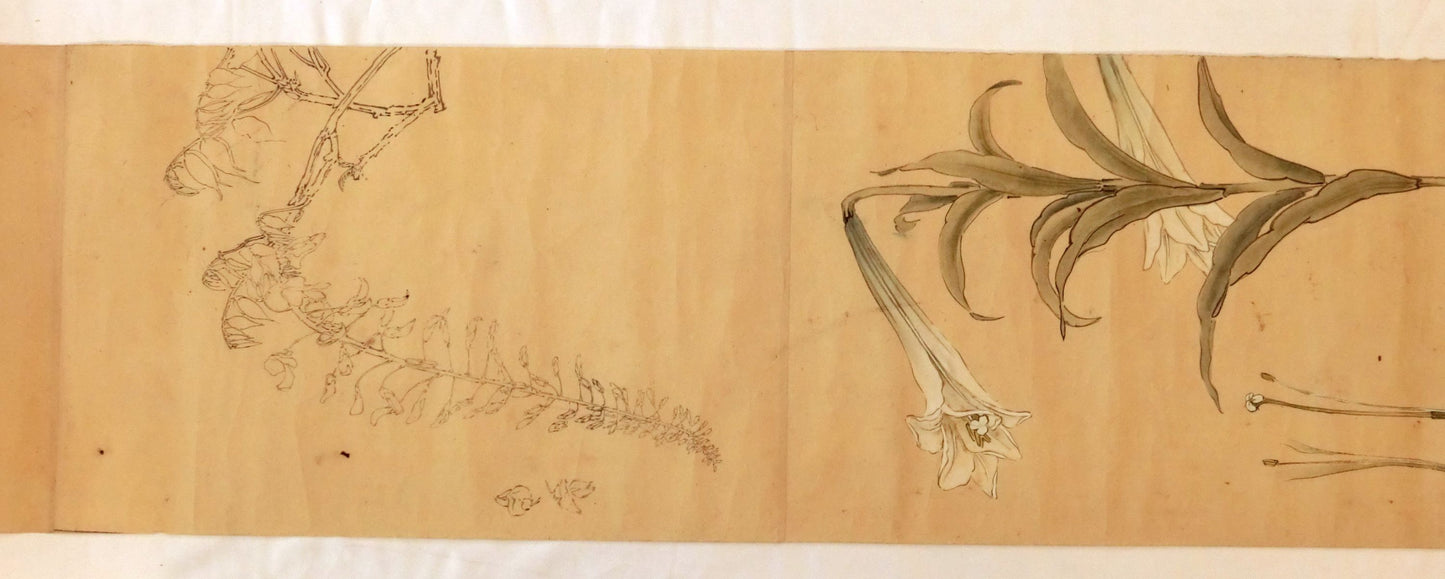 Emakimono - botanical paintings, dated Meiji 35 (1902)