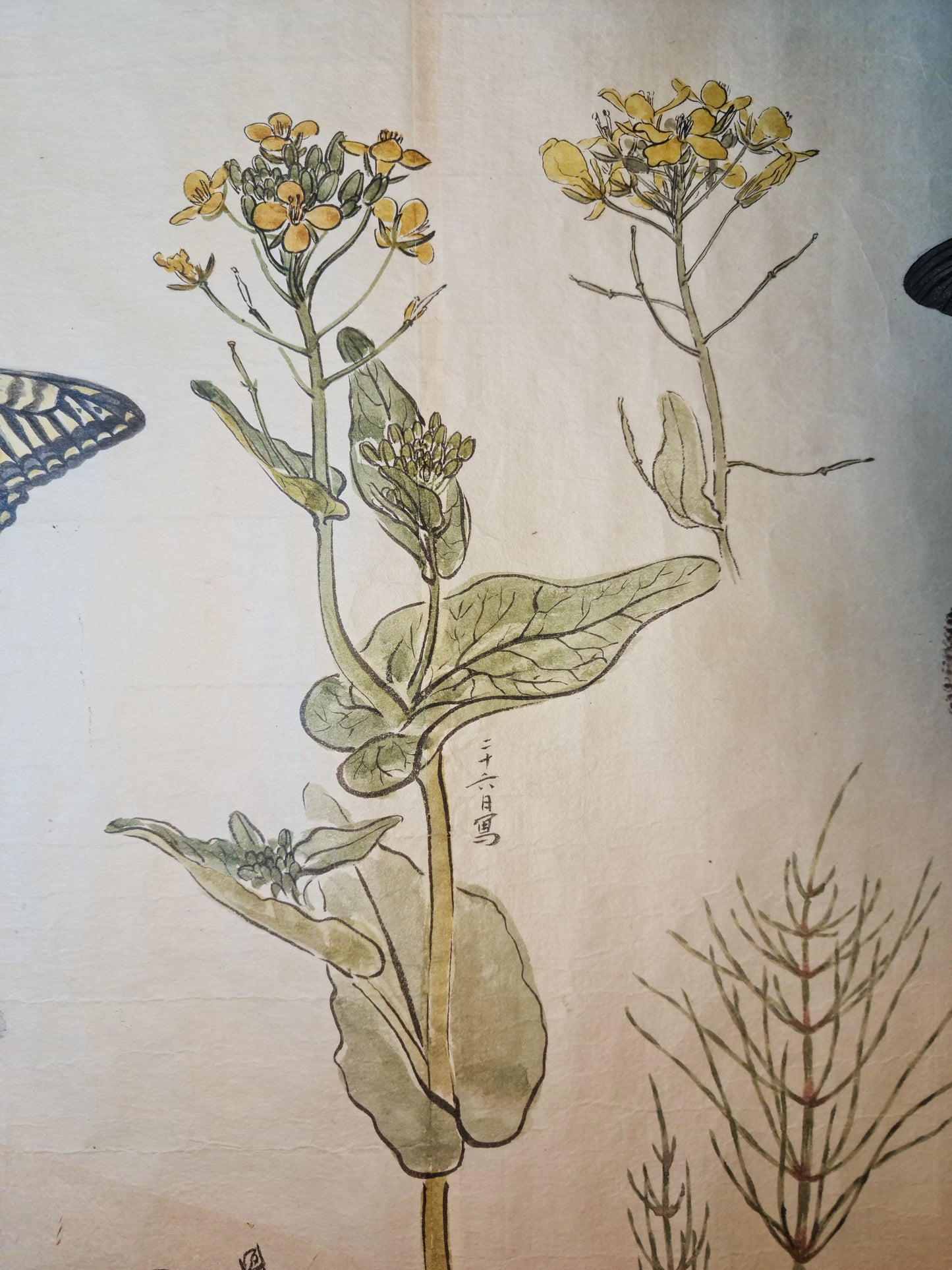 Emakimono 絵巻物 scroll, Matsutarō Sugino (杉野松太郎), born in 1878, scroll, 40! x 1250 cm