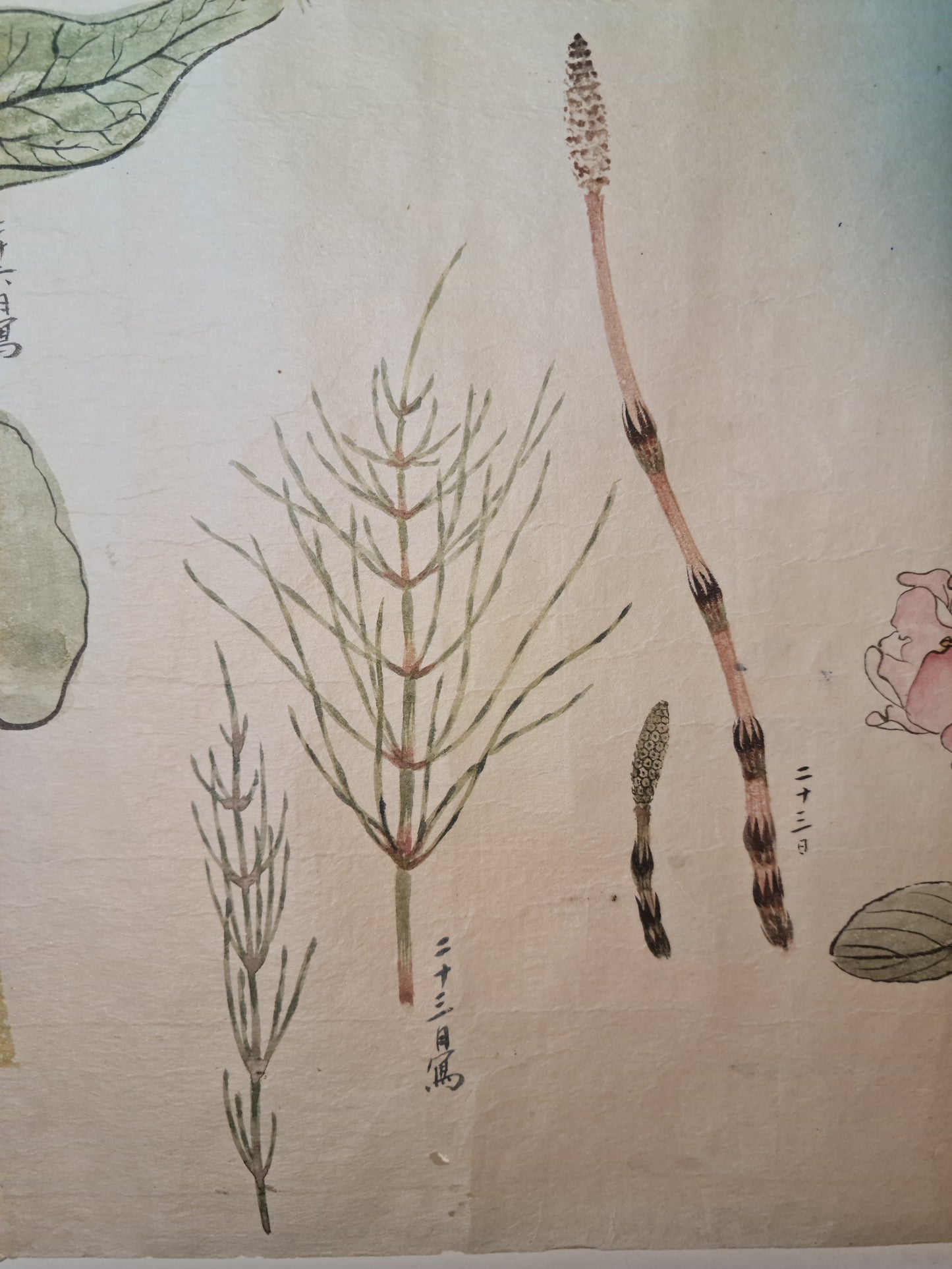 Emakimono 絵巻物 scroll, Matsutarō Sugino (杉野松太郎), born in 1878, scroll, 40! x 1250 cm