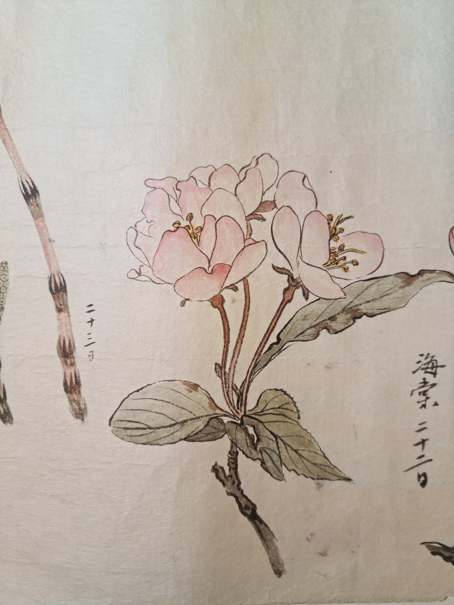 Emakimono 絵巻物 scroll, Matsutarō Sugino (杉野松太郎), born in 1878, scroll, 40! x 1250 cm