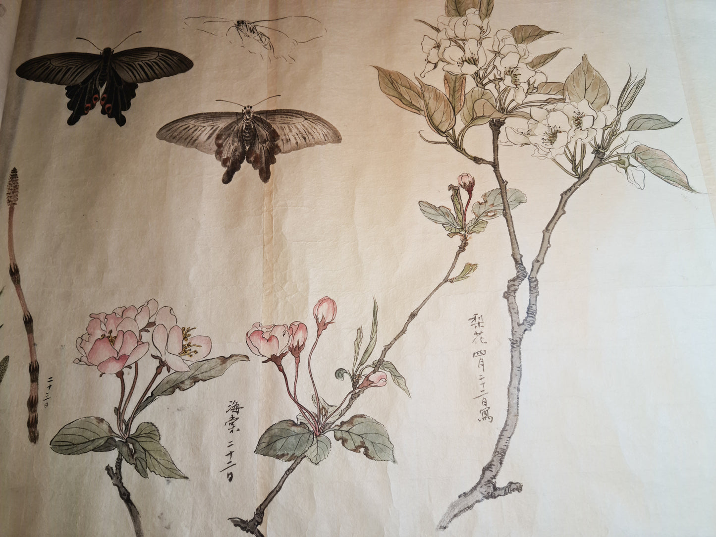 Emakimono 絵巻物 scroll, Matsutarō Sugino (杉野松太郎), born in 1878, scroll, 40! x 1250 cm