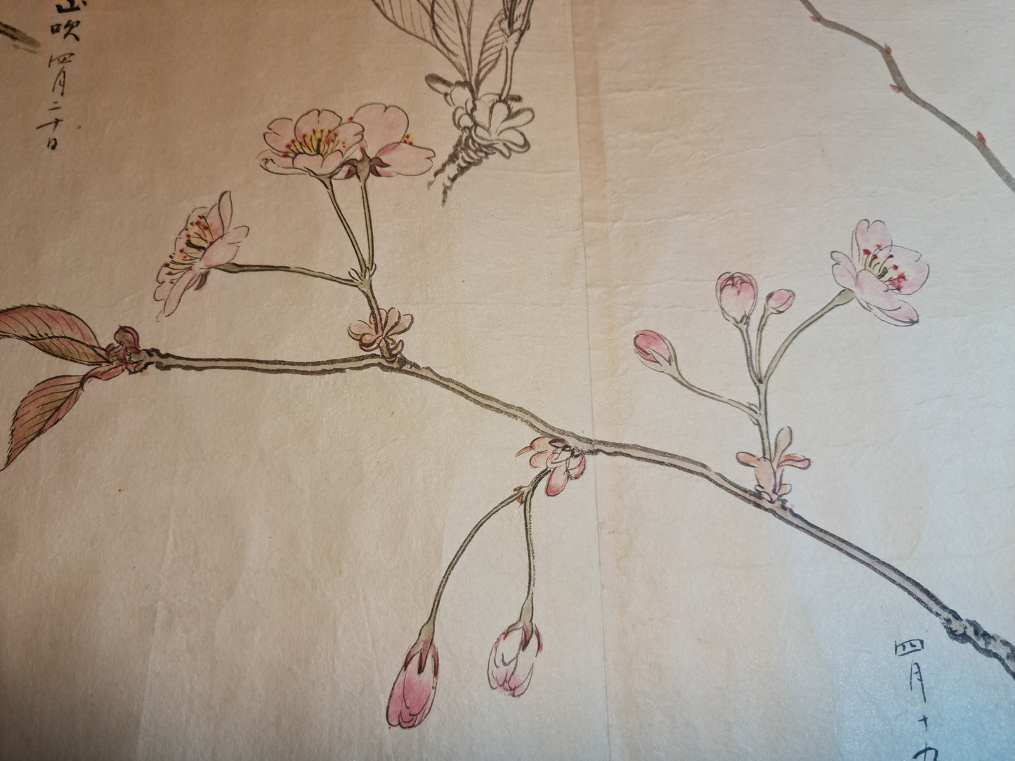 Emakimono 絵巻物 scroll, Matsutarō Sugino (杉野松太郎), born in 1878, scroll, 40! x 1250 cm