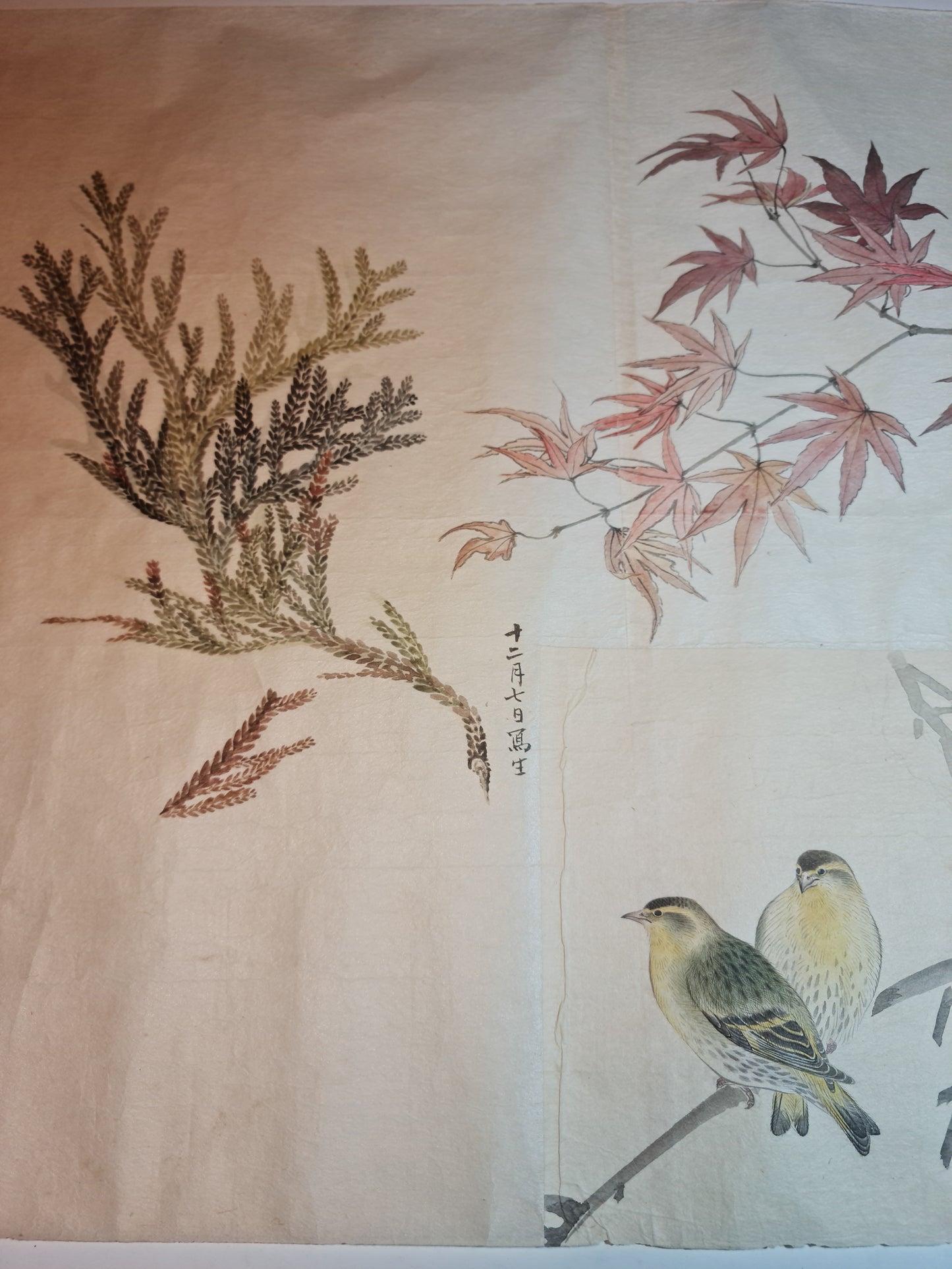 Emakimono 絵巻物 scroll, Matsutarō Sugino (杉野松太郎), born in 1878, scroll, 40! x 1250 cm