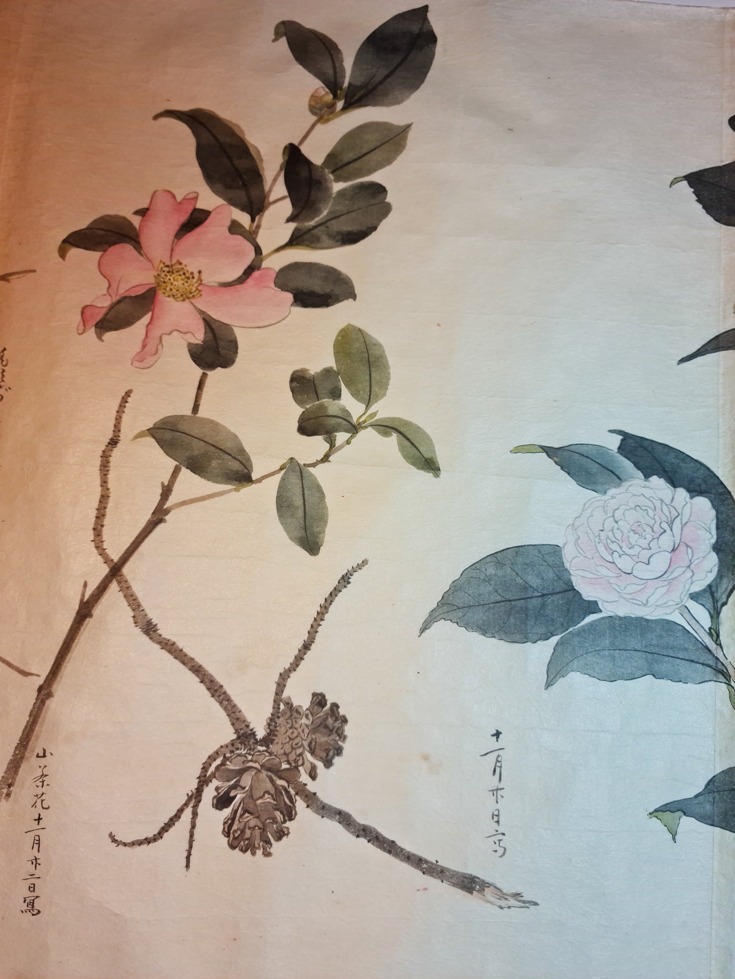 Emakimono 絵巻物 scroll, Matsutarō Sugino (杉野松太郎), born in 1878, scroll, 40! x 1250 cm