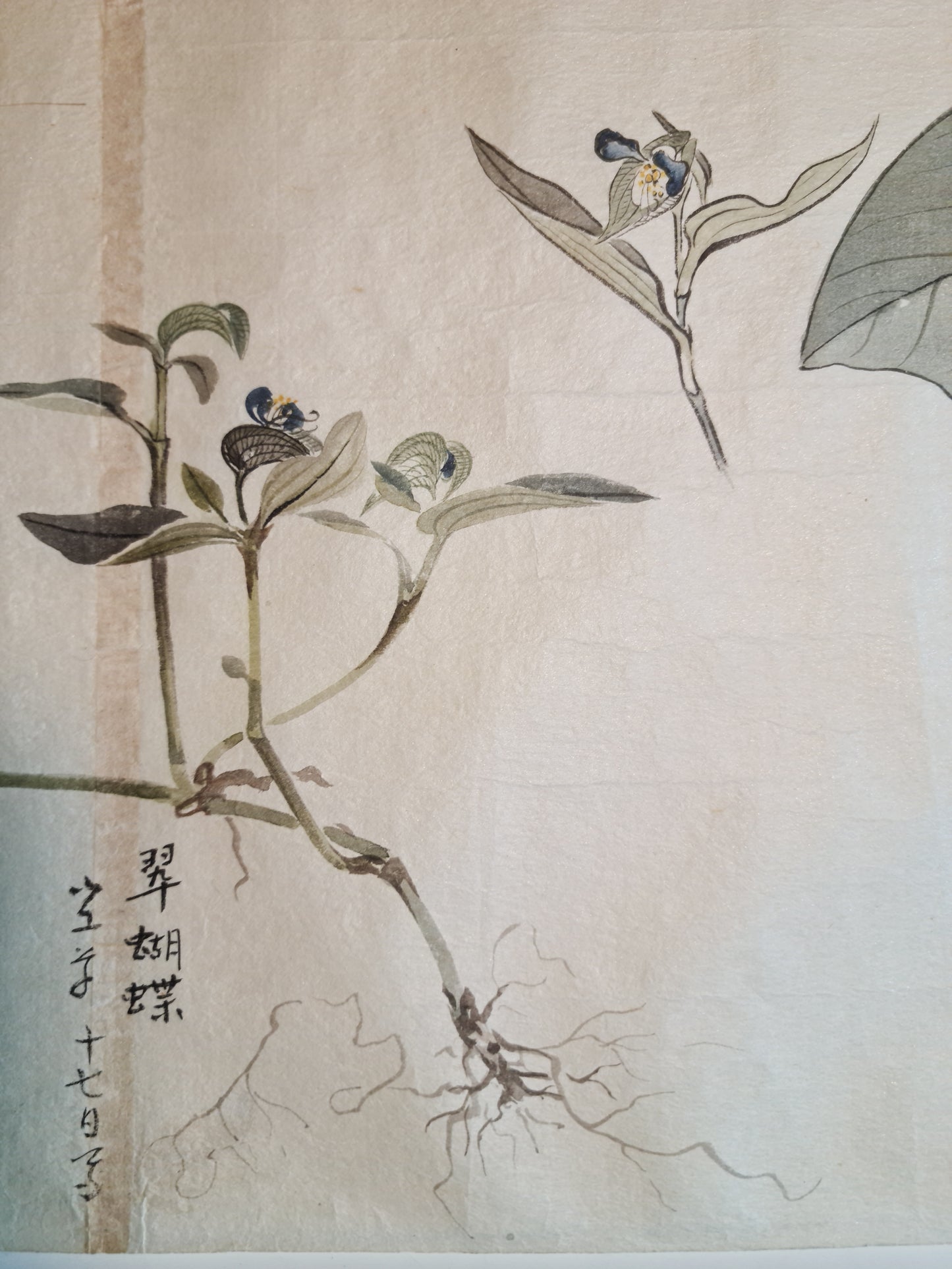 Emakimono 絵巻物 scroll, Matsutarō Sugino (杉野松太郎), born in 1878, scroll, 40! x 1250 cm