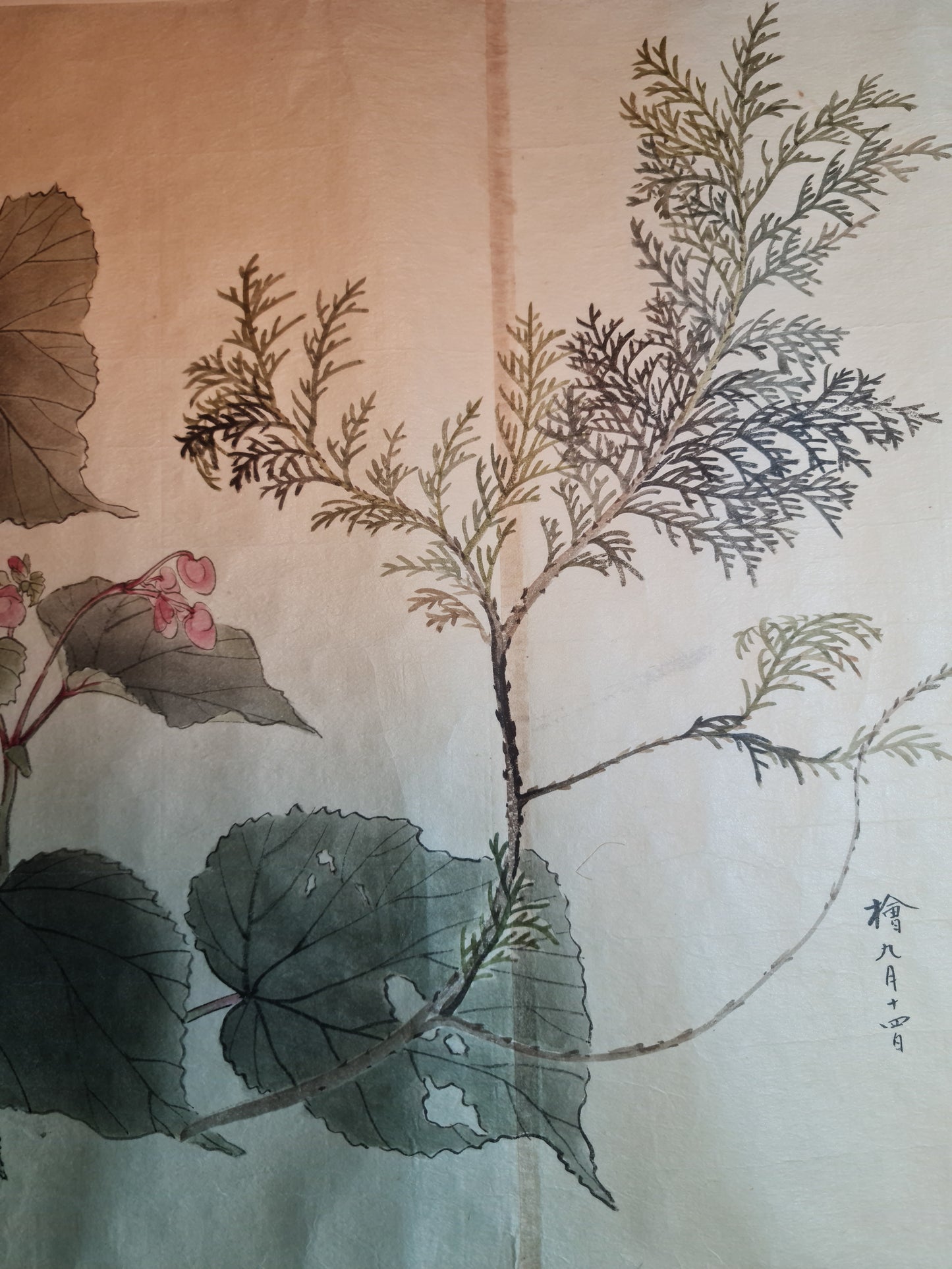 Emakimono 絵巻物 scroll, Matsutarō Sugino (杉野松太郎), born in 1878, scroll, 40! x 1250 cm