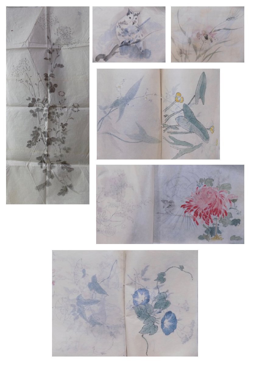 A portfolio of around 100+ very large size handpainted designs