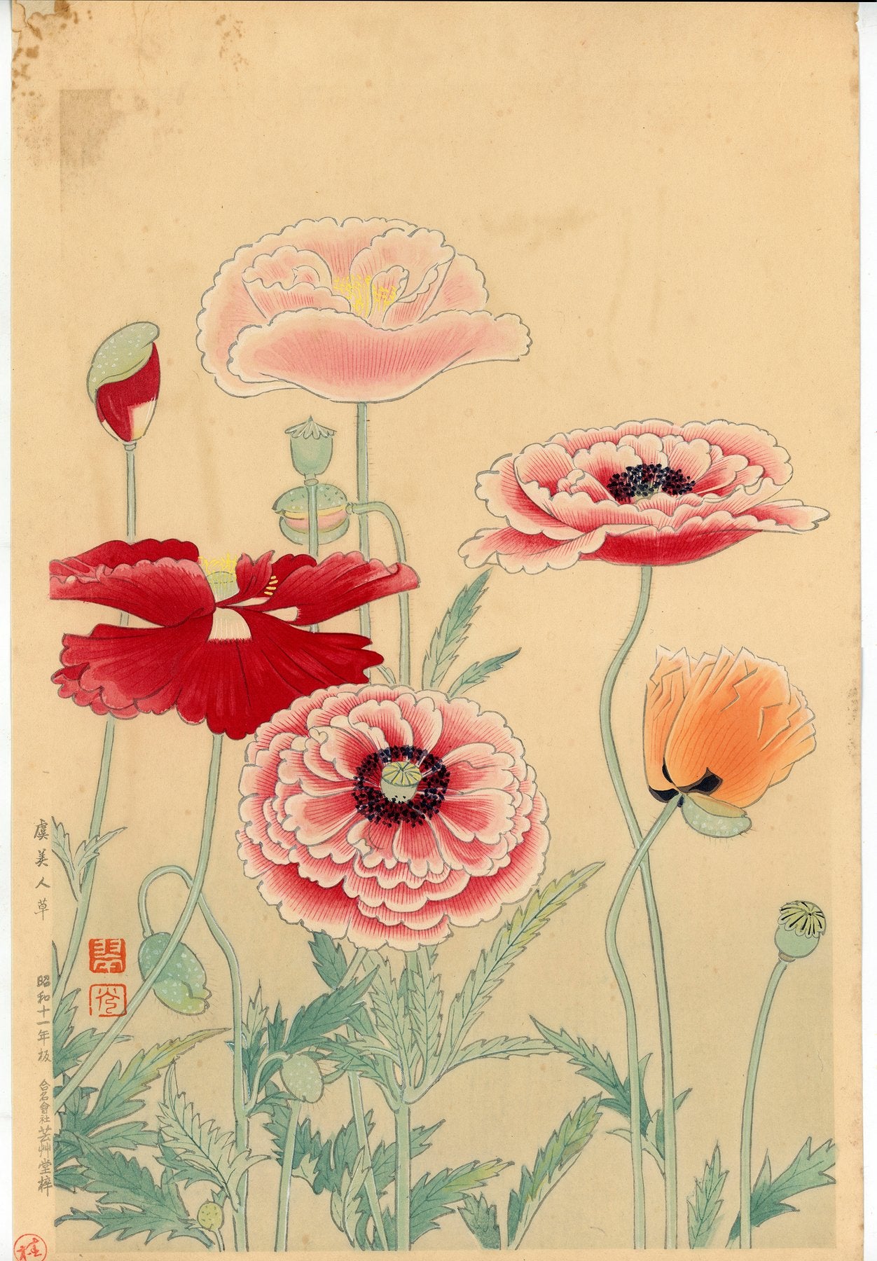 Fukuda Suiko 福田翠光 (1895-1973) - Gubijinsō 虞美人草 (poppies) - 1936