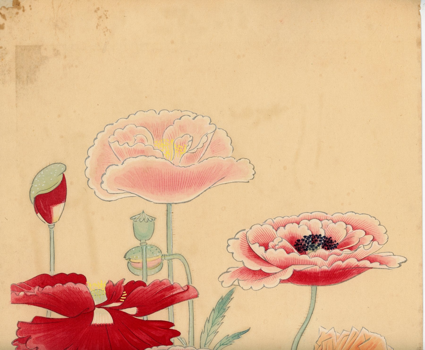 Fukuda Suiko 福田翠光 (1895-1973) - Gubijinsō 虞美人草 (poppies