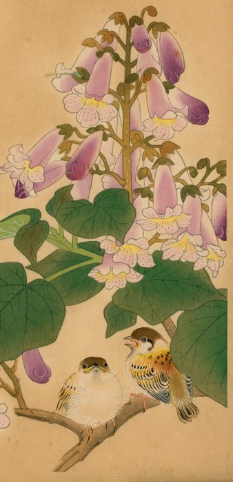 Fukuda Suiko 福田翠光 (1895-1973) - Tung blossom bird 桐花小禽 - 1936