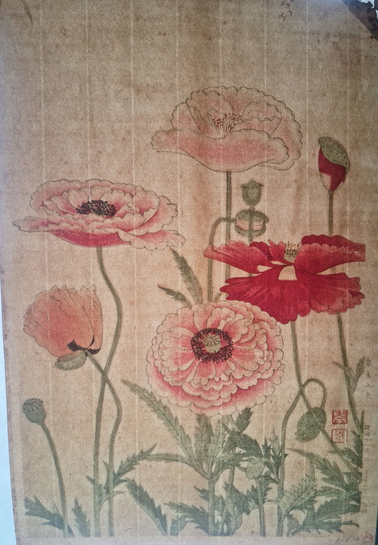 Fukuda Suiko 福田翠光 (1895-1973) - Gubijinsō 虞美人草 (poppies) - 1936