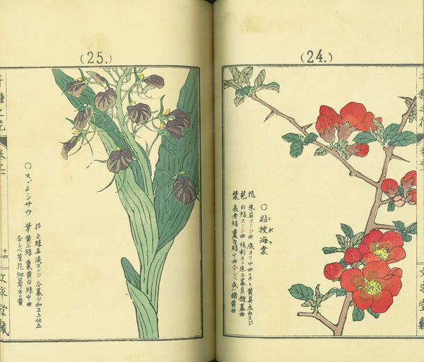 Chigusa no Hana by Kono Bairei, 4 vols.