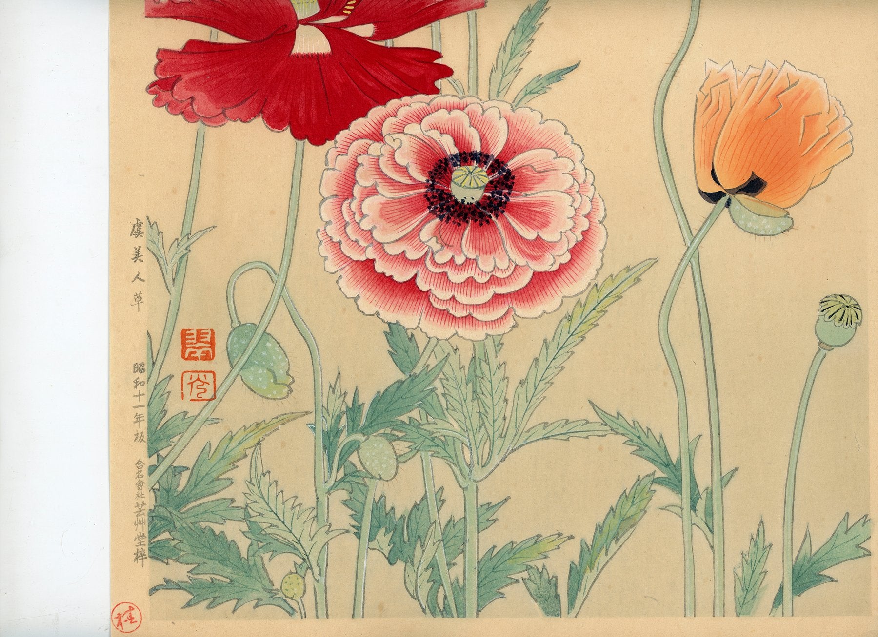 Fukuda Suiko 福田翠光 (1895-1973) - Gubijinsō 虞美人草 (poppies