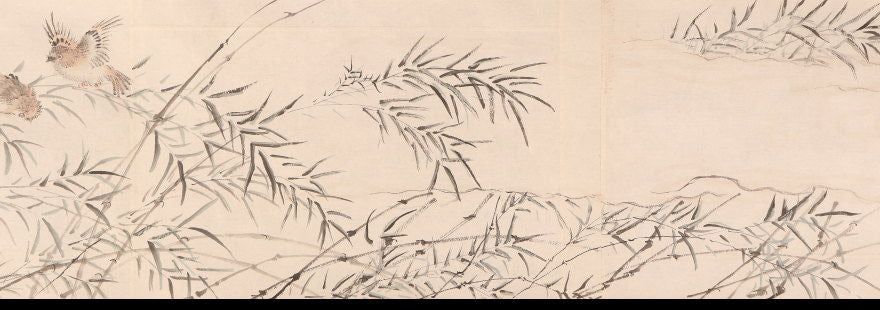 Unknown scroll, brushwork seems chinese, 22 x 590 cm, flowers & birds, ca. 1800