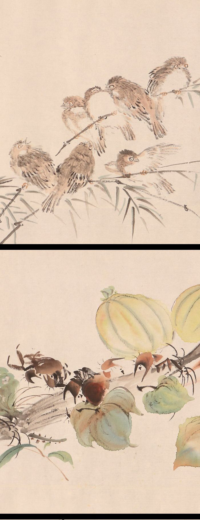 Unknown scroll, brushwork seems chinese, 22 x 590 cm, flowers & birds, ca. 1800