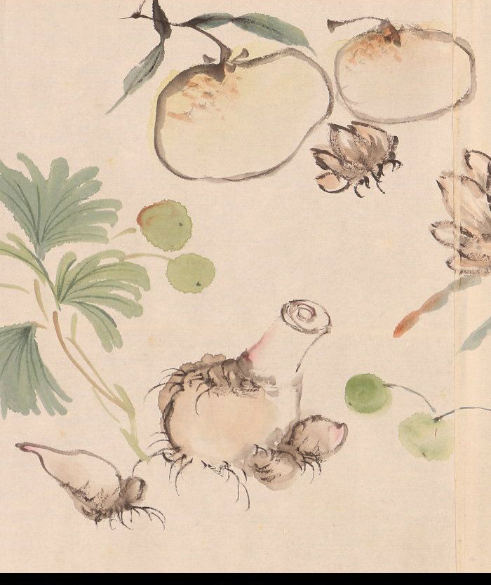 Unknown scroll, brushwork seems chinese, 22 x 590 cm, flowers & birds, ca. 1800