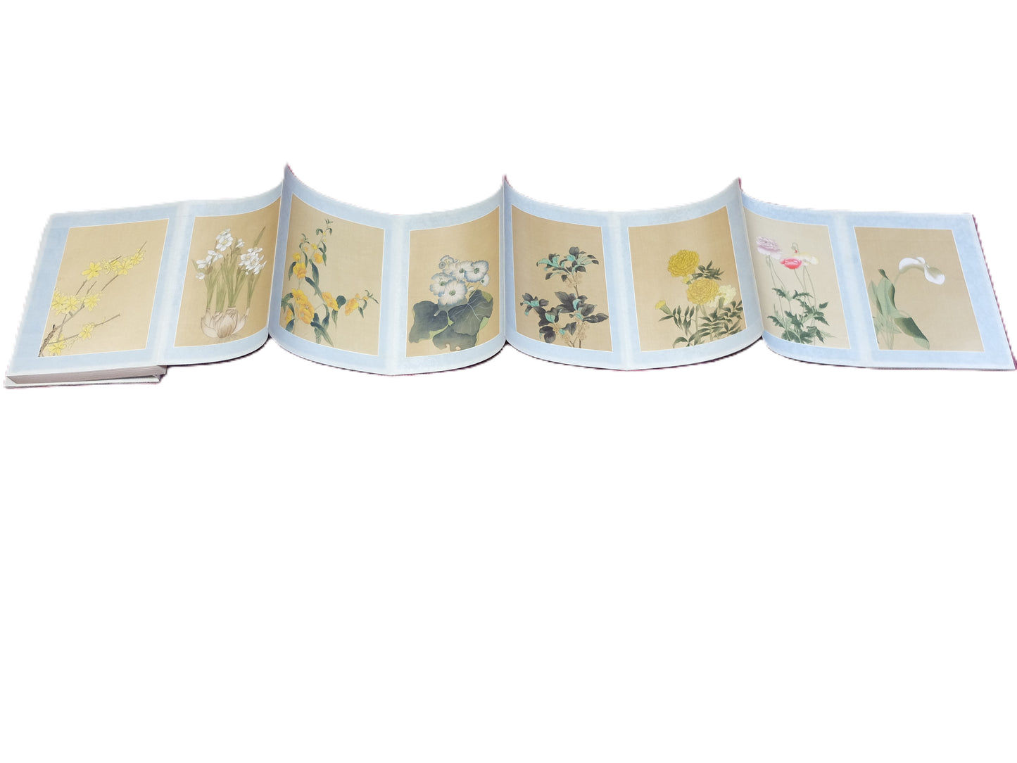 Botanical paintings, ink on silk, 100 files
