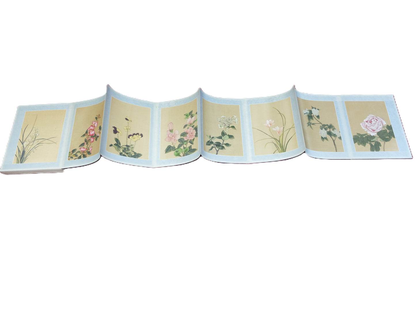 Botanical paintings, ink on silk, 100 files